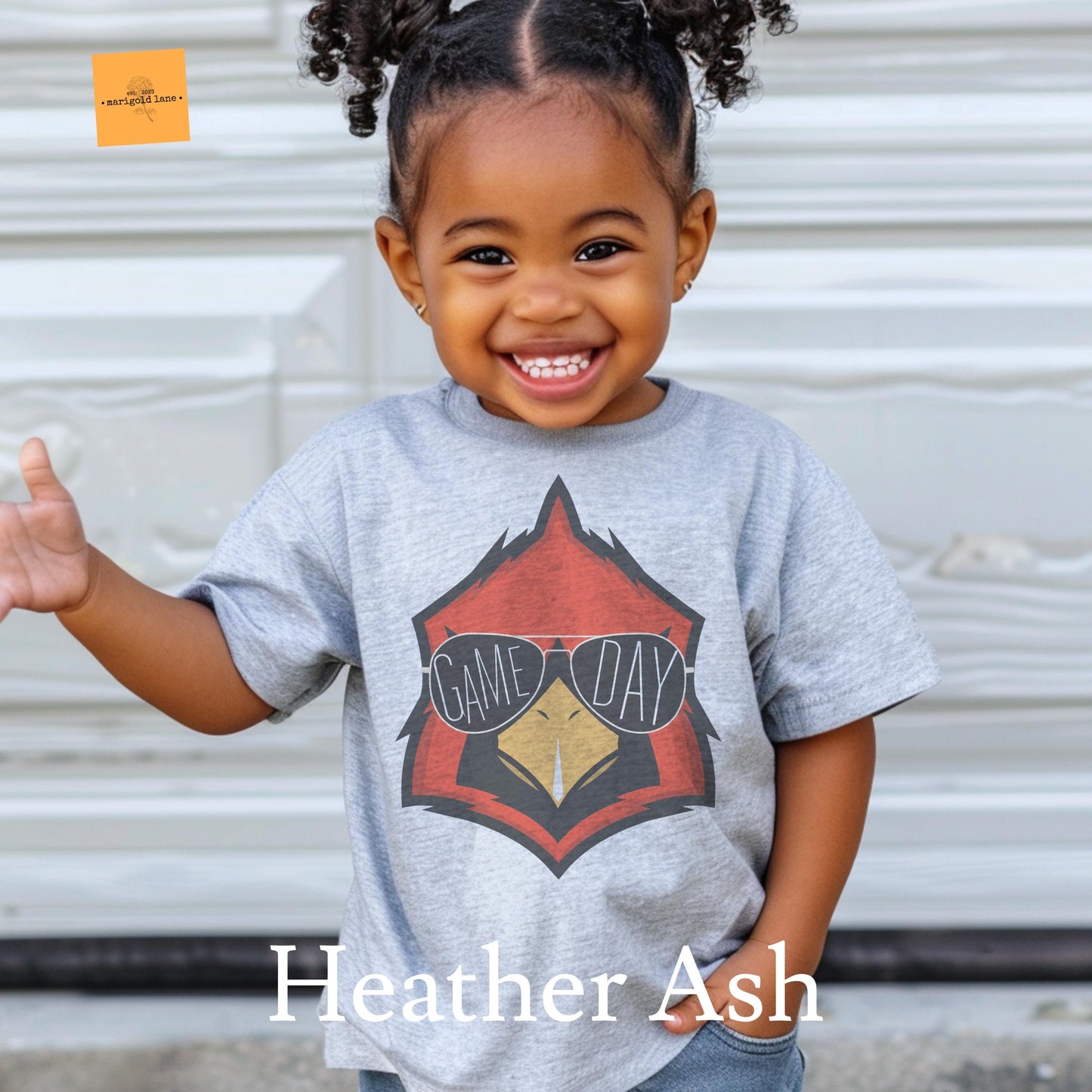 Youth Cardinals mascot, kids Redbirds football tshirt, kids basketball tshirt, cute kids game day tshirt, youth mascot tshirt