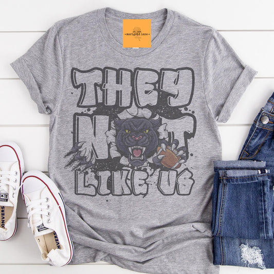 Panthers they not like us game day mascot, football tshirt, football mom tshirt, cute game day tshirt, mascot tshirt, unisex cut tshirt