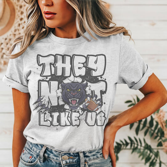 Panthers they not like us game day mascot, football tshirt, football mom tshirt, cute game day tshirt, mascot tshirt, unisex cut tshirt